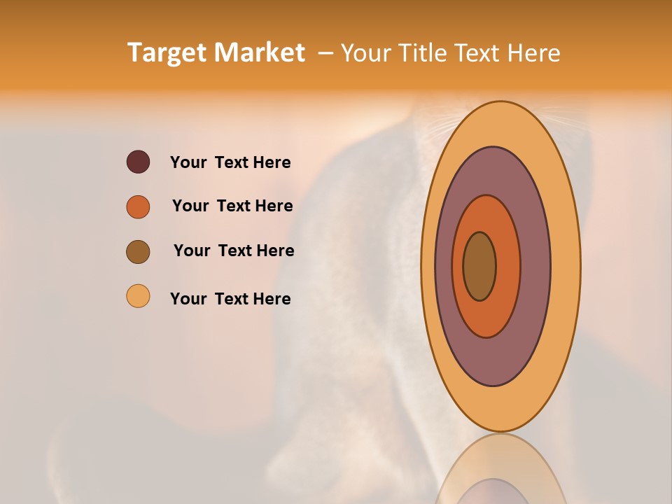 Abyssinian Cat PowerPoint Template