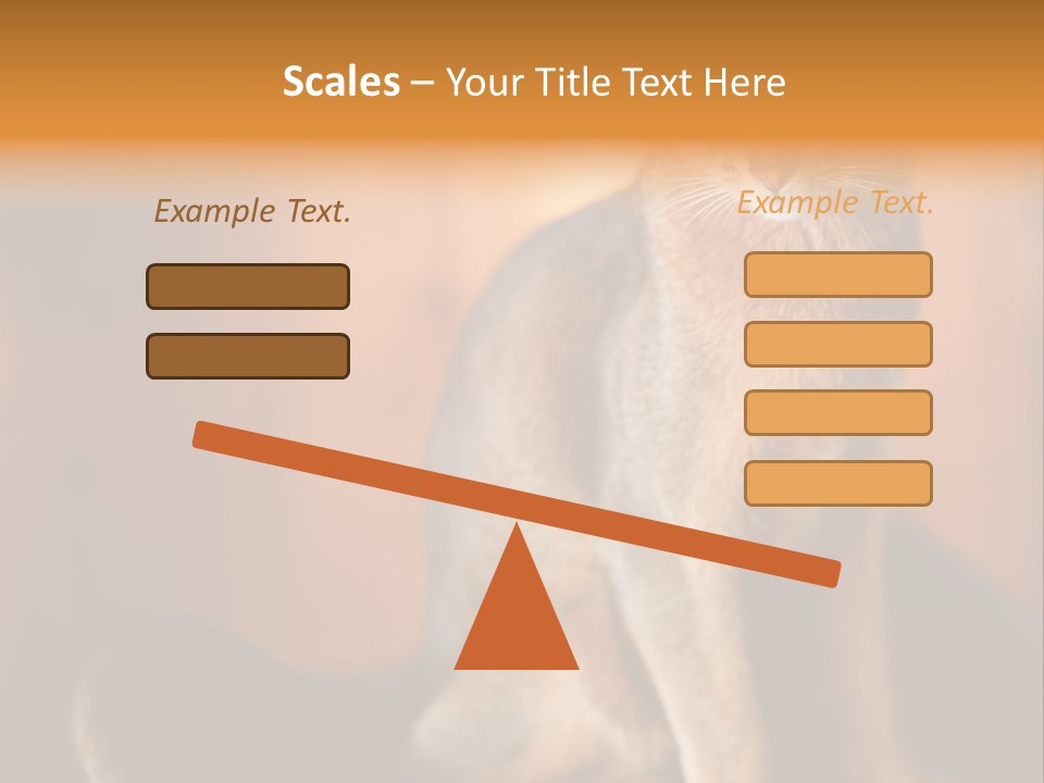 Abyssinian Cat PowerPoint Template