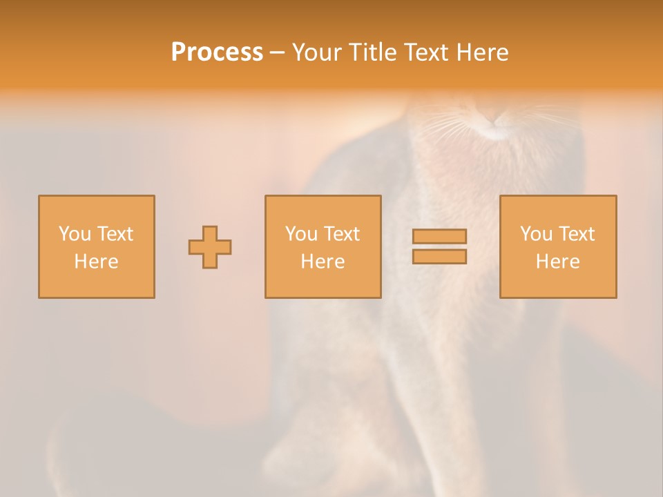Abyssinian Cat PowerPoint Template