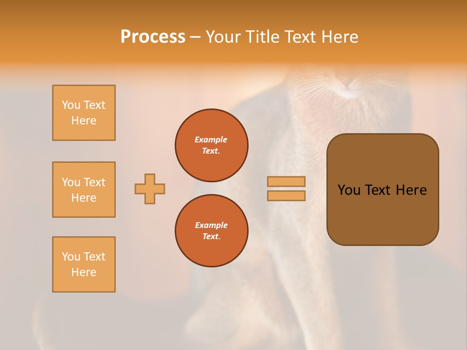 Abyssinian Cat PowerPoint Template