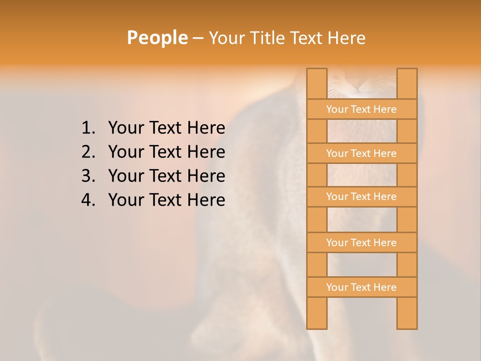 Abyssinian Cat PowerPoint Template