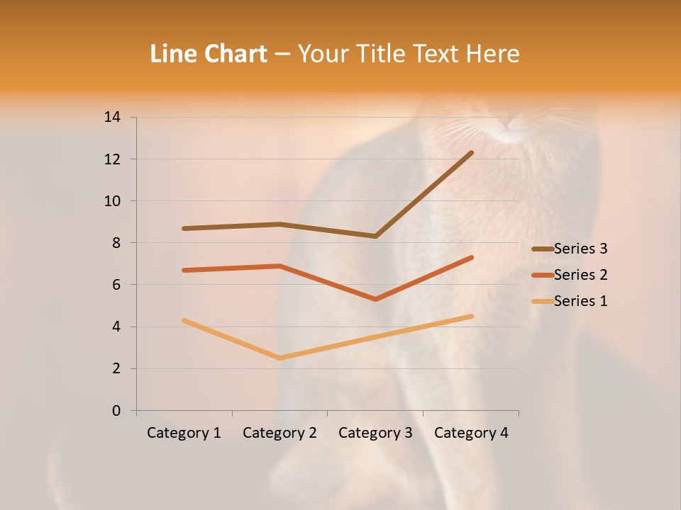 Abyssinian Cat PowerPoint Template