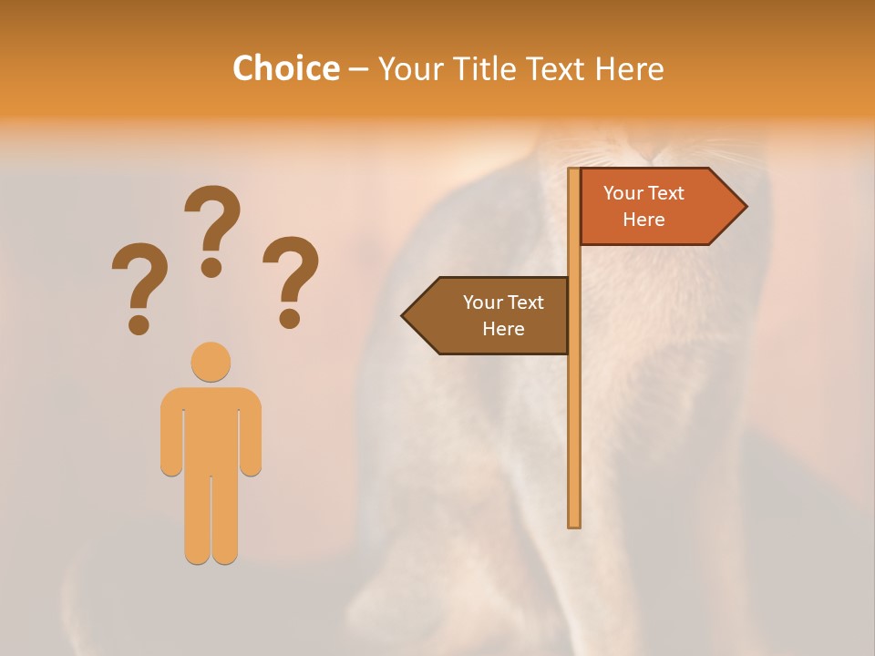 Abyssinian Cat PowerPoint Template