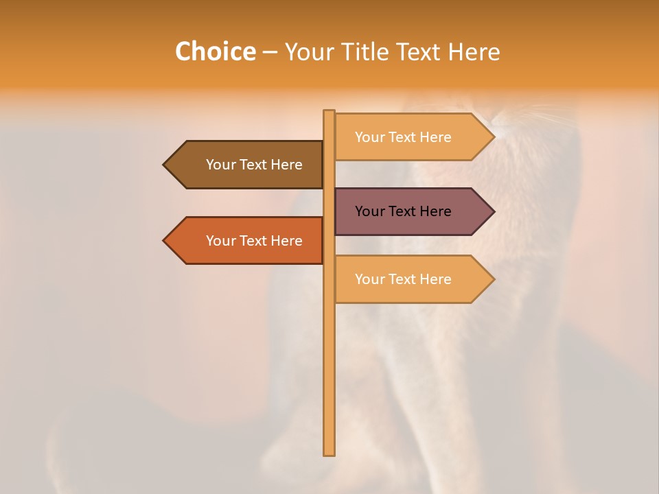 Abyssinian Cat PowerPoint Template