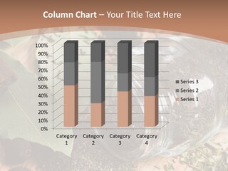 Herb Eating Ingredient PowerPoint Template