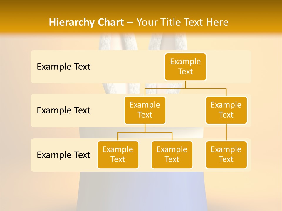 Sombrero Conejo PowerPoint Template