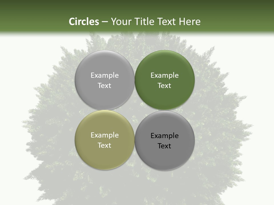 Cover Model Fantasy PowerPoint Template