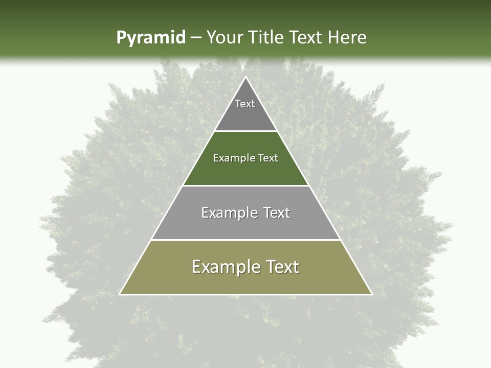 Cover Model Fantasy PowerPoint Template