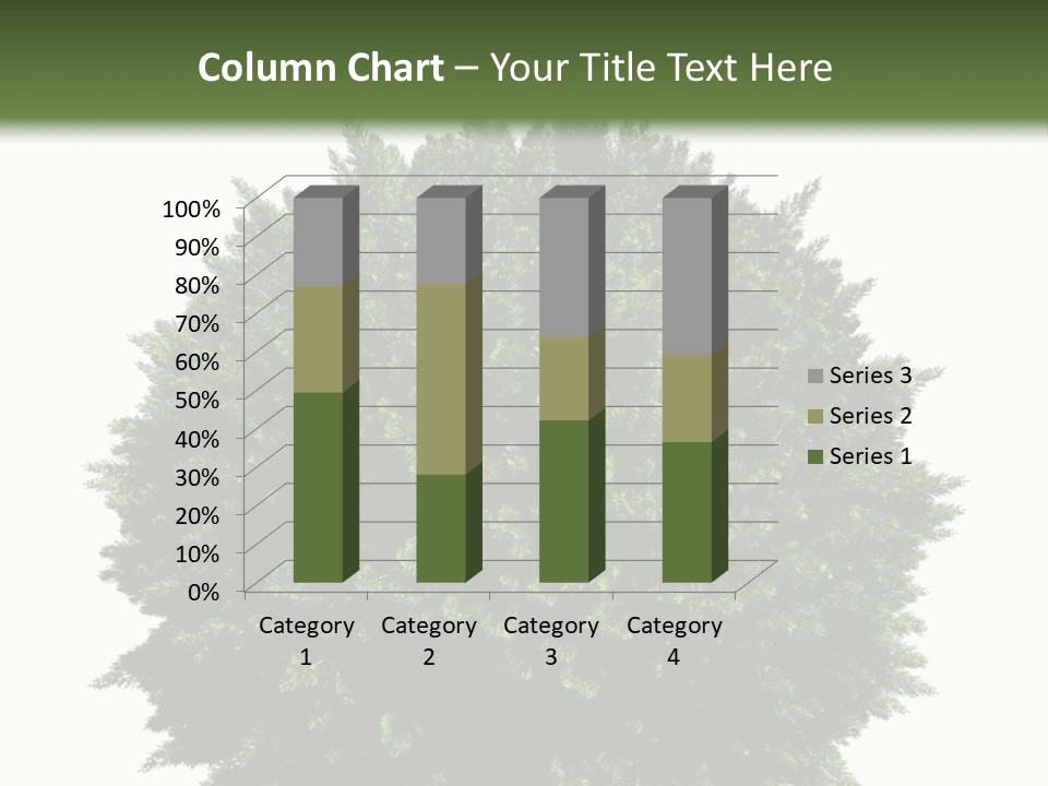 Cover Model Fantasy PowerPoint Template