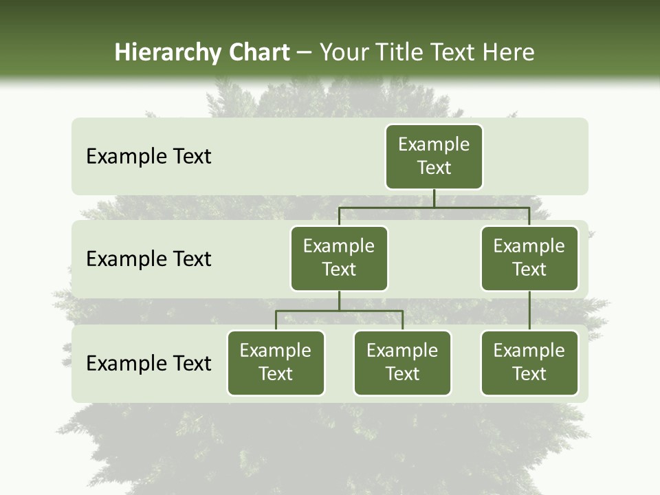 Cover Model Fantasy PowerPoint Template