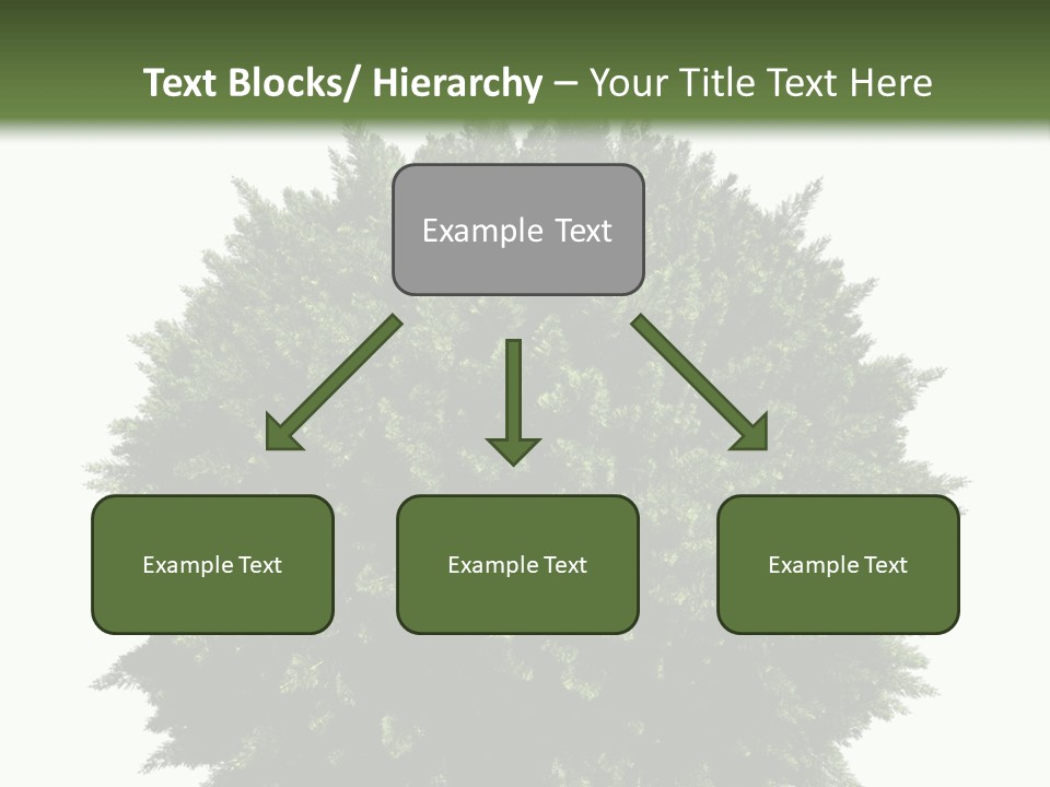 Cover Model Fantasy PowerPoint Template