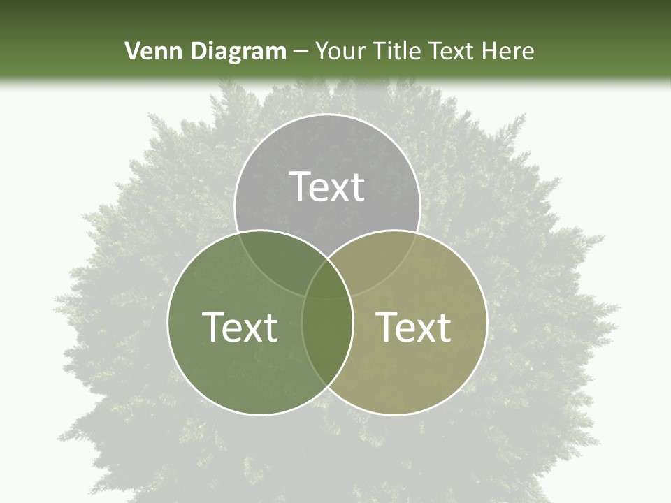 Cover Model Fantasy PowerPoint Template