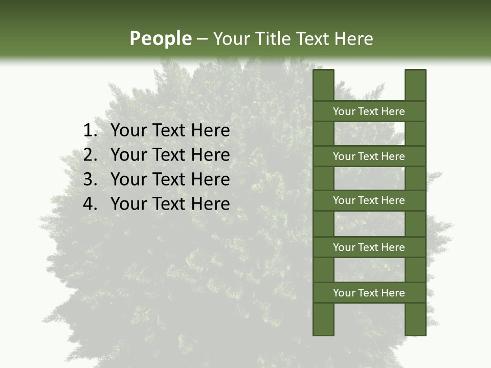 Cover Model Fantasy PowerPoint Template