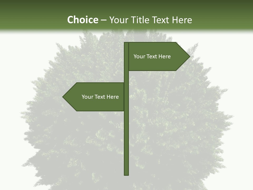 Cover Model Fantasy PowerPoint Template