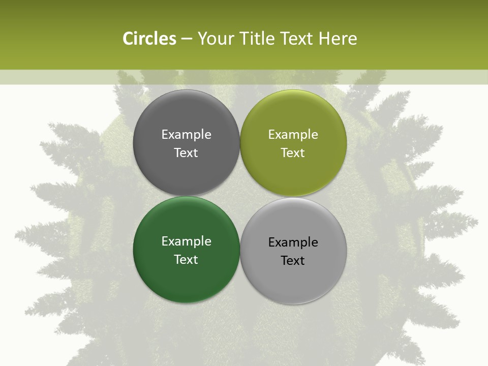 Beauty Tips In Tamil PowerPoint Template