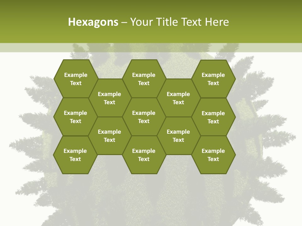 Beauty Tips In Tamil PowerPoint Template