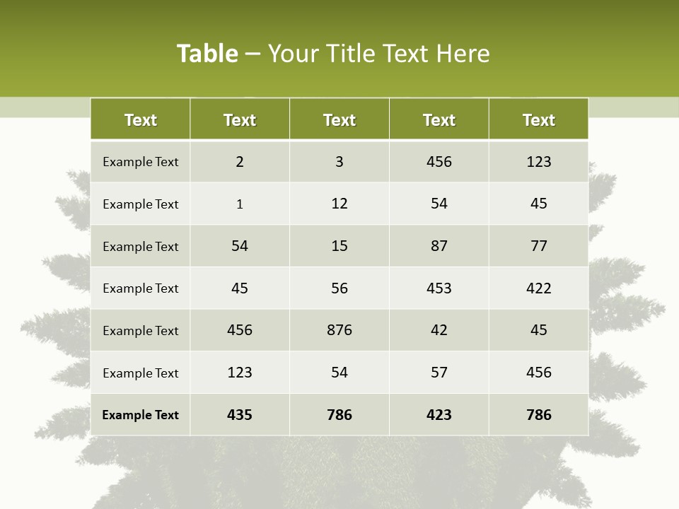 Beauty Tips In Tamil PowerPoint Template