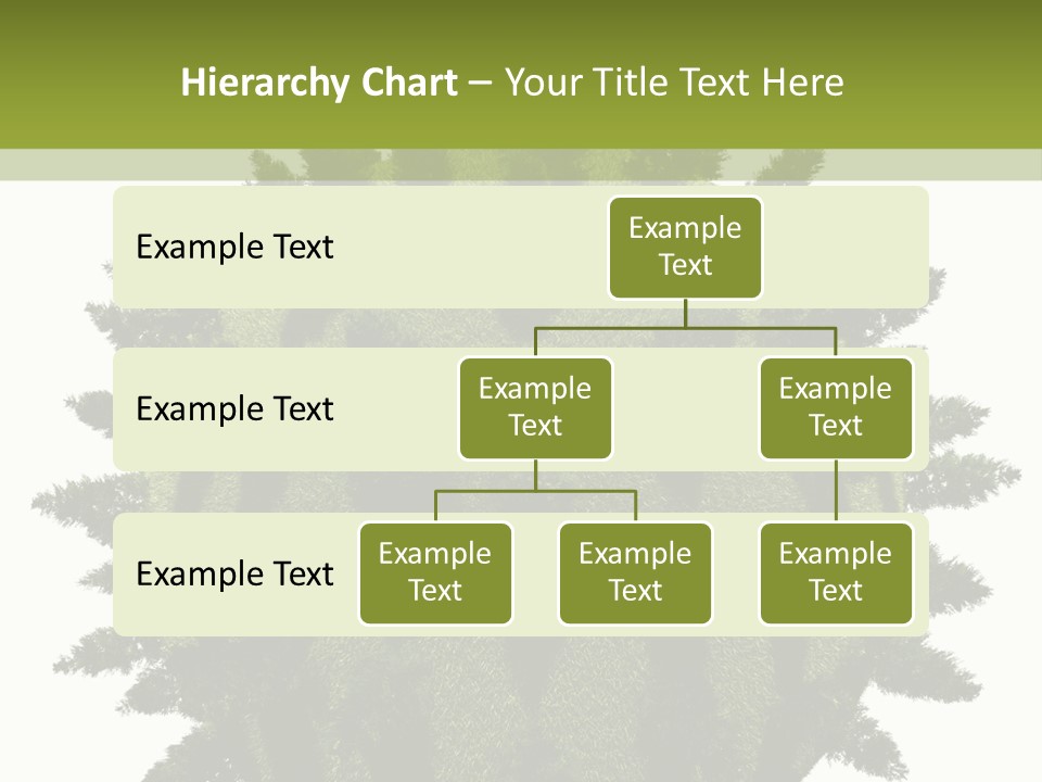 Beauty Tips In Tamil PowerPoint Template