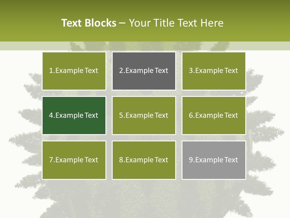 Beauty Tips In Tamil PowerPoint Template