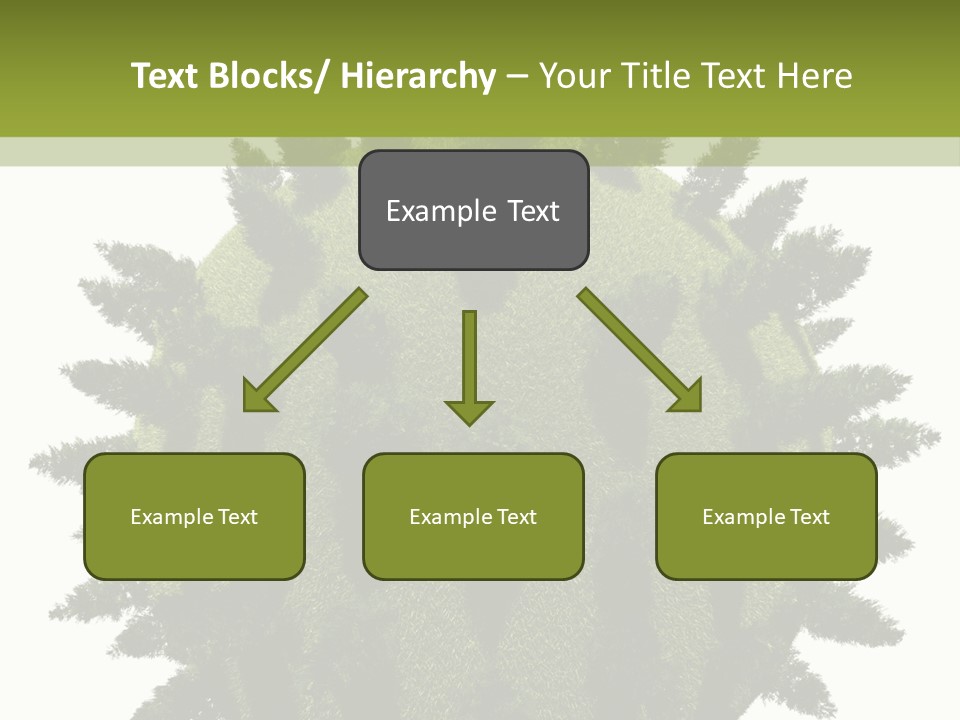 Beauty Tips In Tamil PowerPoint Template