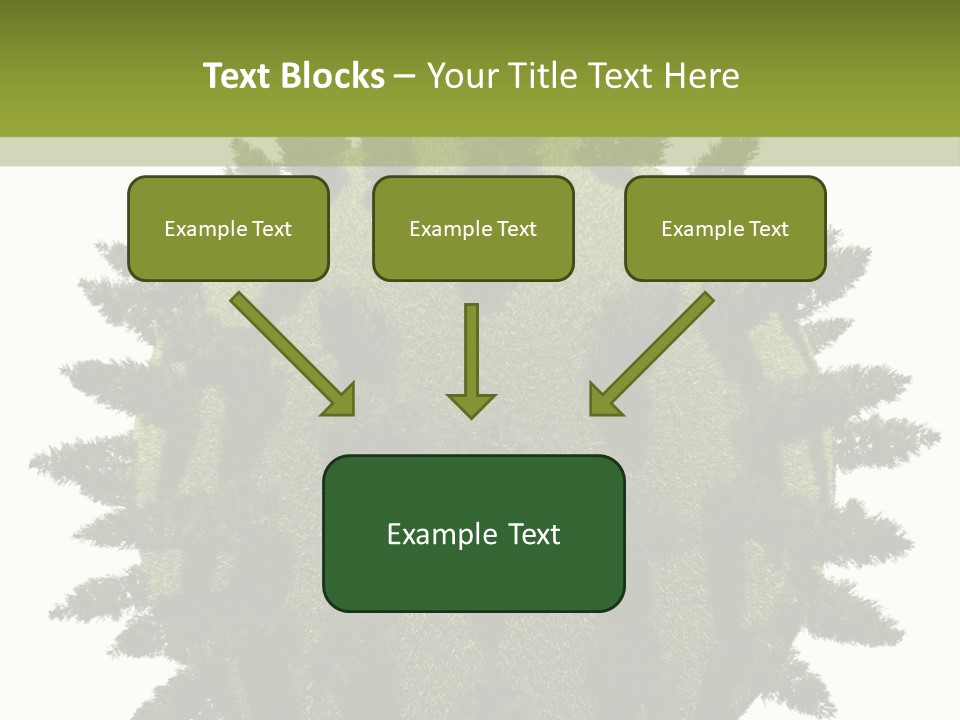 Beauty Tips In Tamil PowerPoint Template