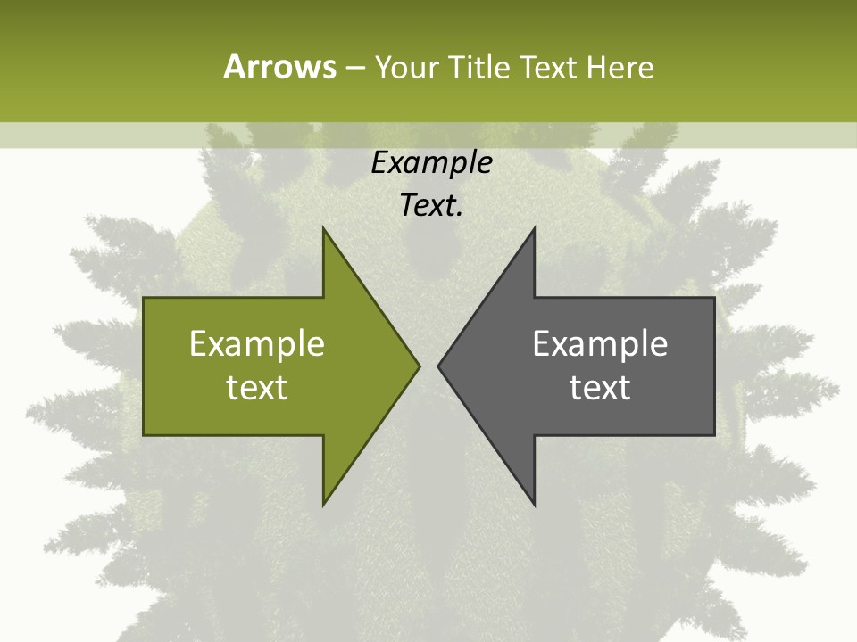 Beauty Tips In Tamil PowerPoint Template