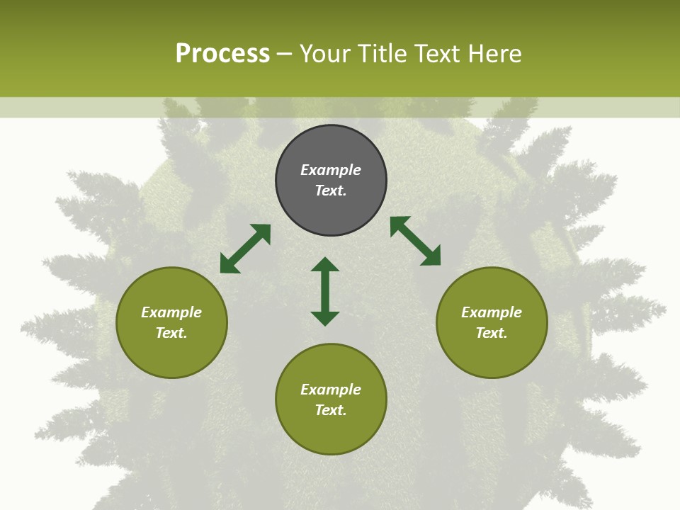 Beauty Tips In Tamil PowerPoint Template