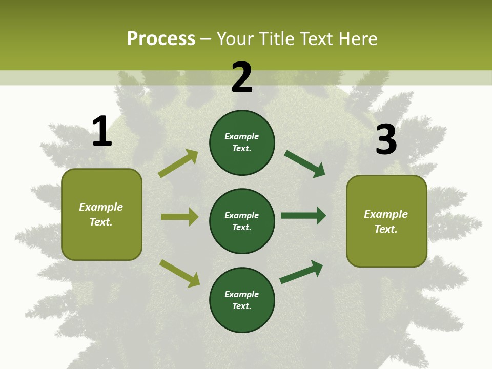 Beauty Tips In Tamil PowerPoint Template