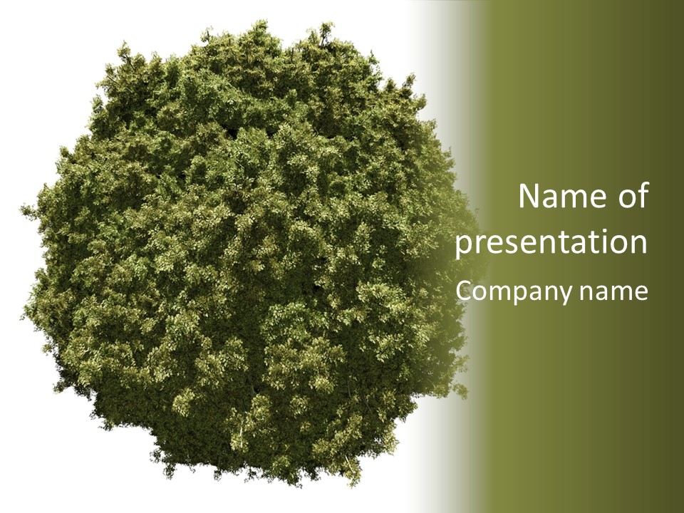 Concept Ball Fronded PowerPoint Template