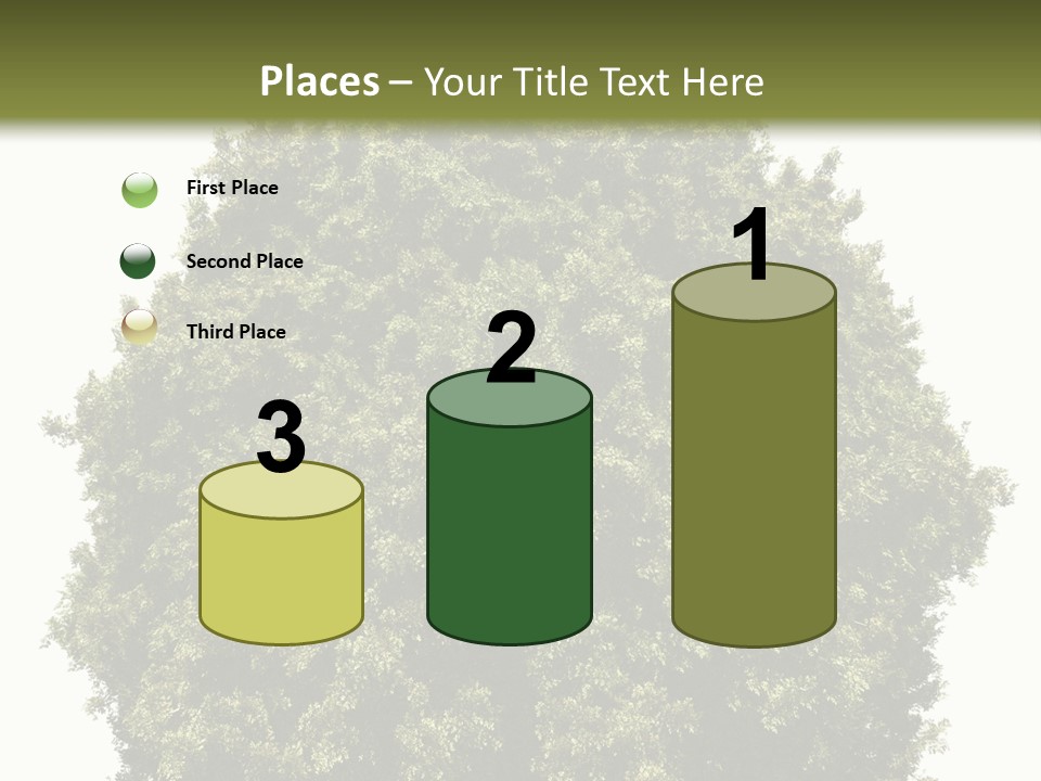 Concept Ball Fronded PowerPoint Template