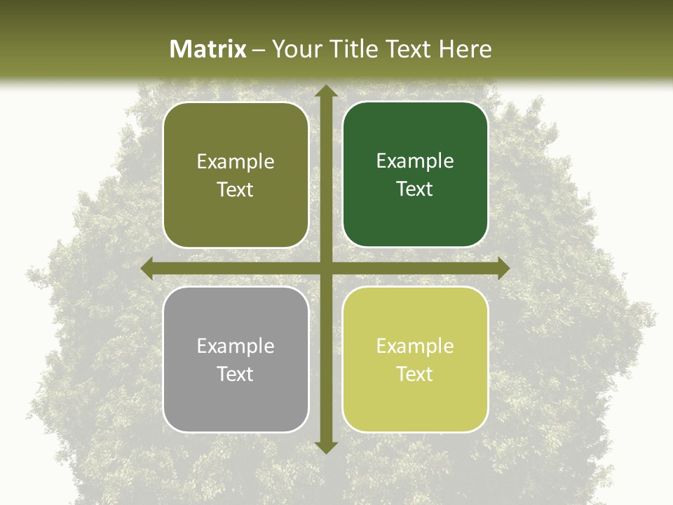 Concept Ball Fronded PowerPoint Template