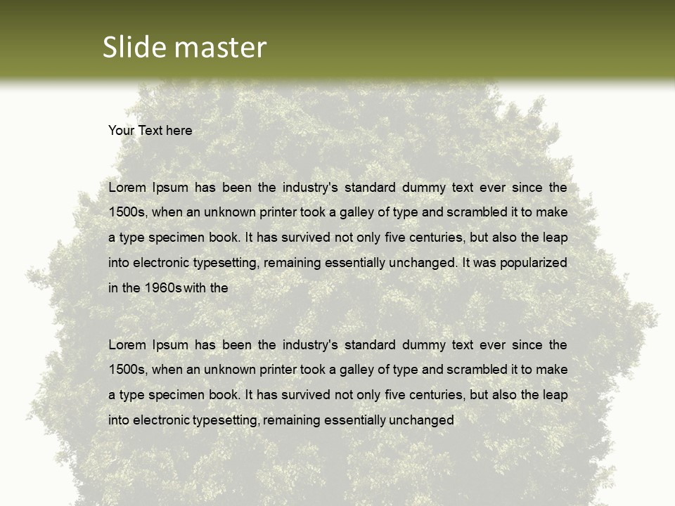 Concept Ball Fronded PowerPoint Template