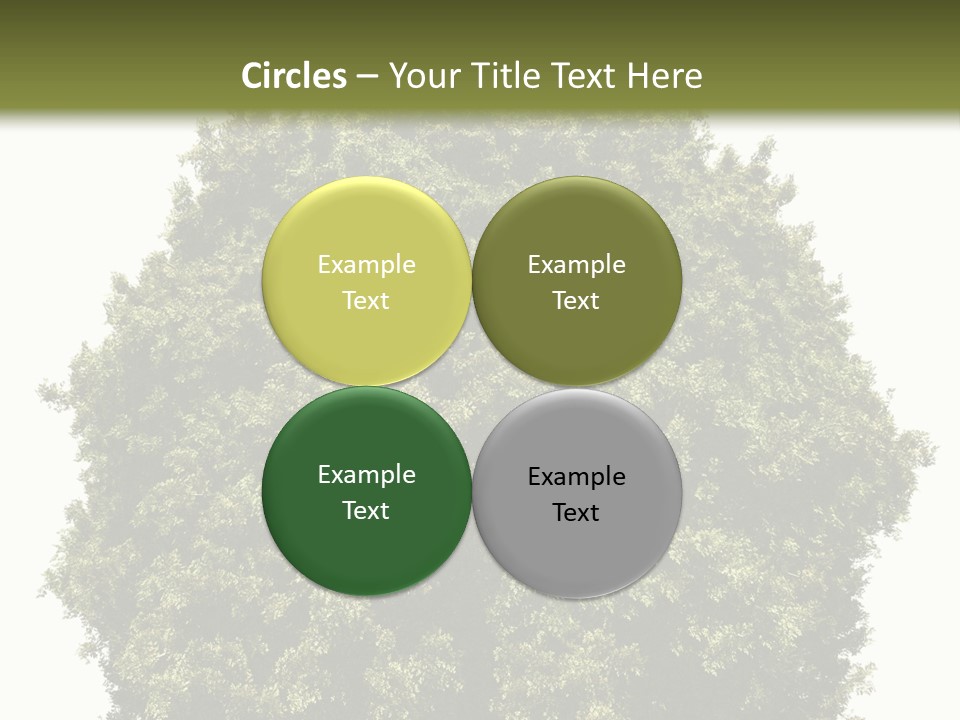 Concept Ball Fronded PowerPoint Template