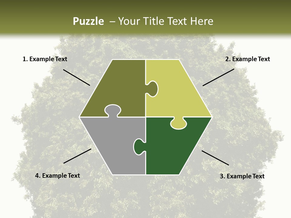 Concept Ball Fronded PowerPoint Template