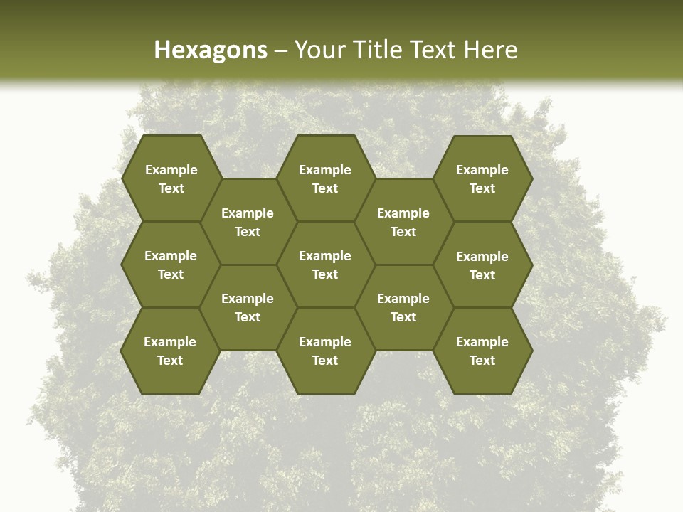 Concept Ball Fronded PowerPoint Template