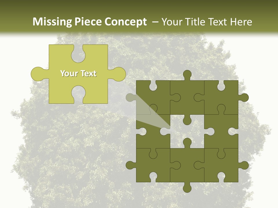 Concept Ball Fronded PowerPoint Template