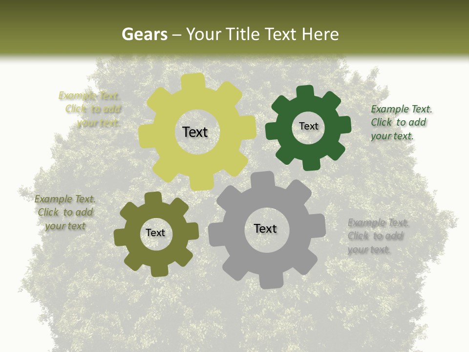 Concept Ball Fronded PowerPoint Template