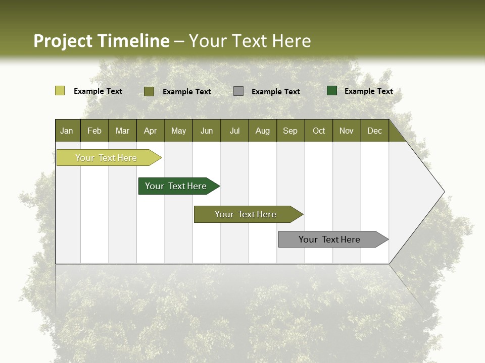 Concept Ball Fronded PowerPoint Template