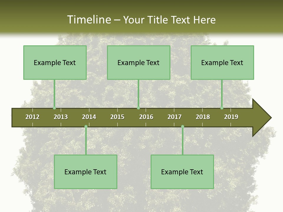 Concept Ball Fronded PowerPoint Template