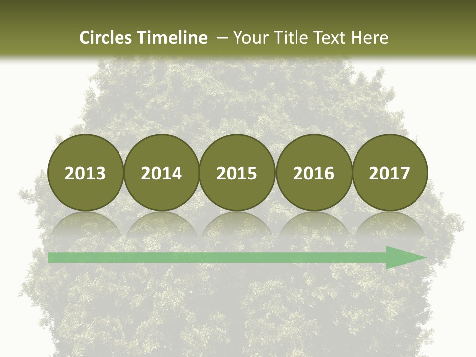 Concept Ball Fronded PowerPoint Template