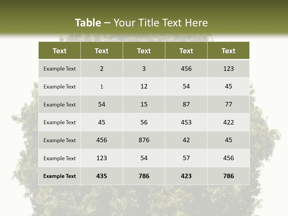 Concept Ball Fronded PowerPoint Template