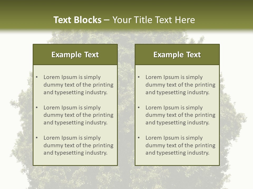 Concept Ball Fronded PowerPoint Template