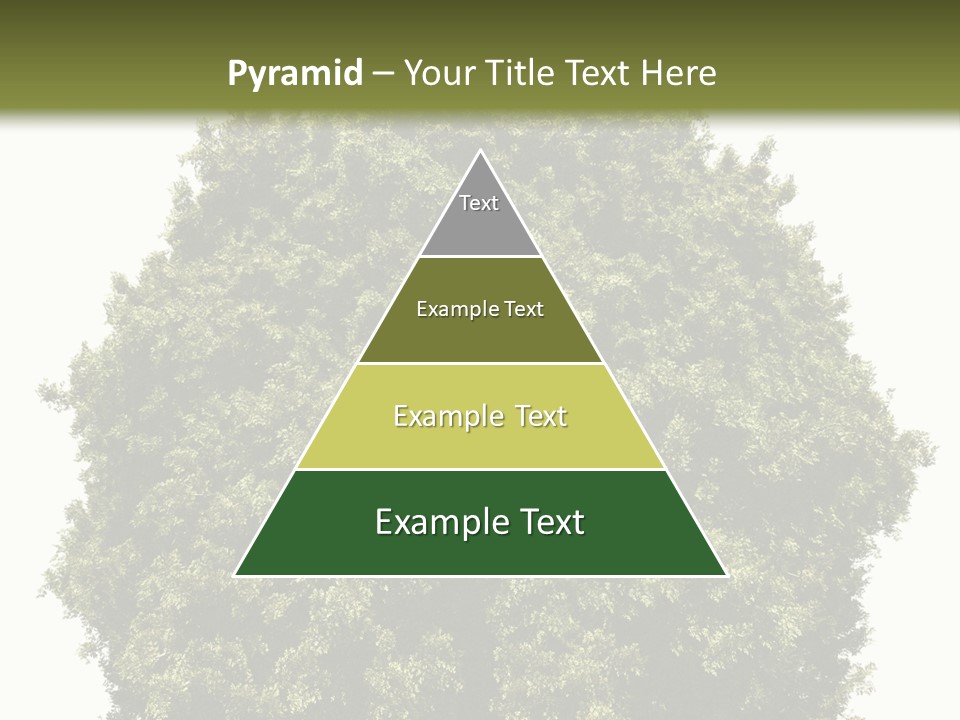 Concept Ball Fronded PowerPoint Template