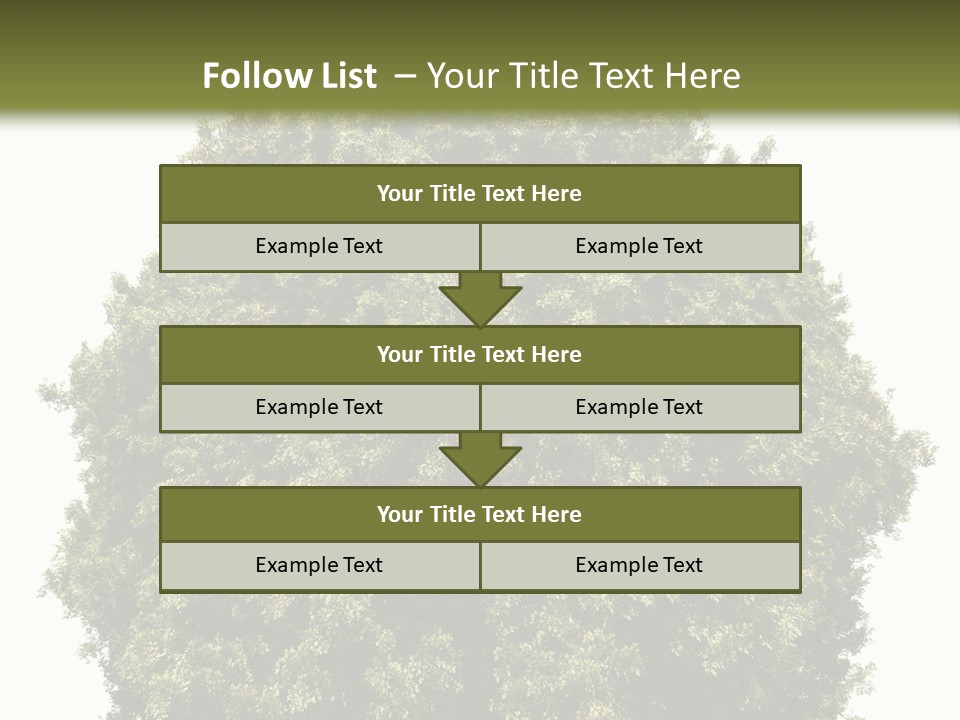 Concept Ball Fronded PowerPoint Template