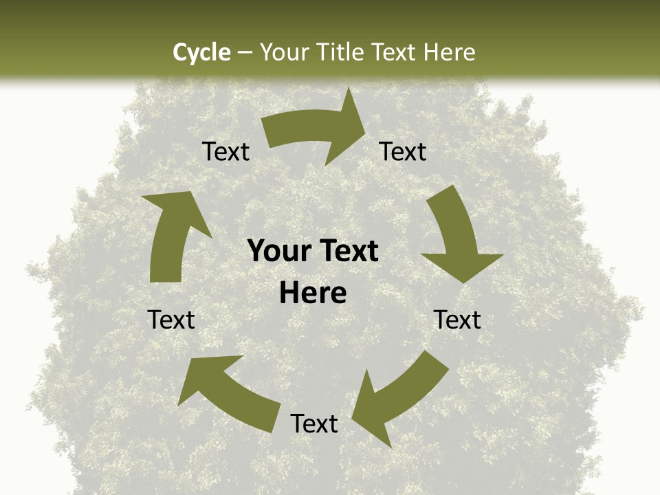 Concept Ball Fronded PowerPoint Template