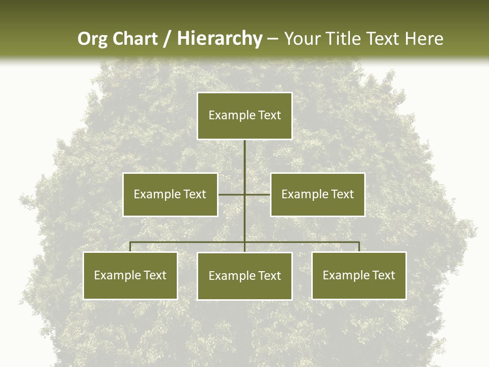 Concept Ball Fronded PowerPoint Template