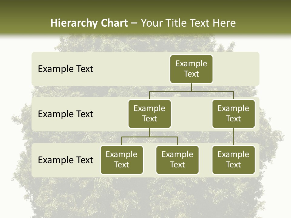 Concept Ball Fronded PowerPoint Template