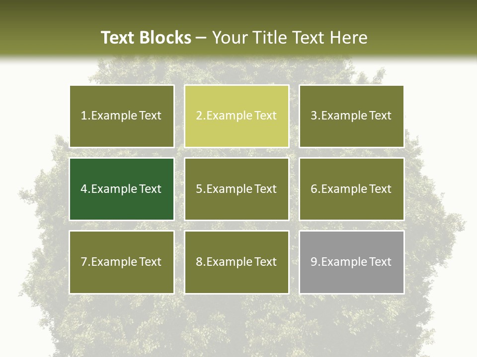 Concept Ball Fronded PowerPoint Template
