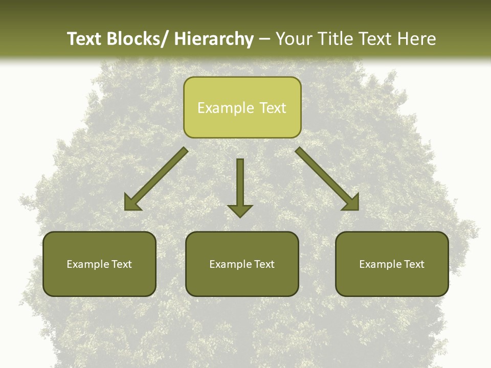 Concept Ball Fronded PowerPoint Template