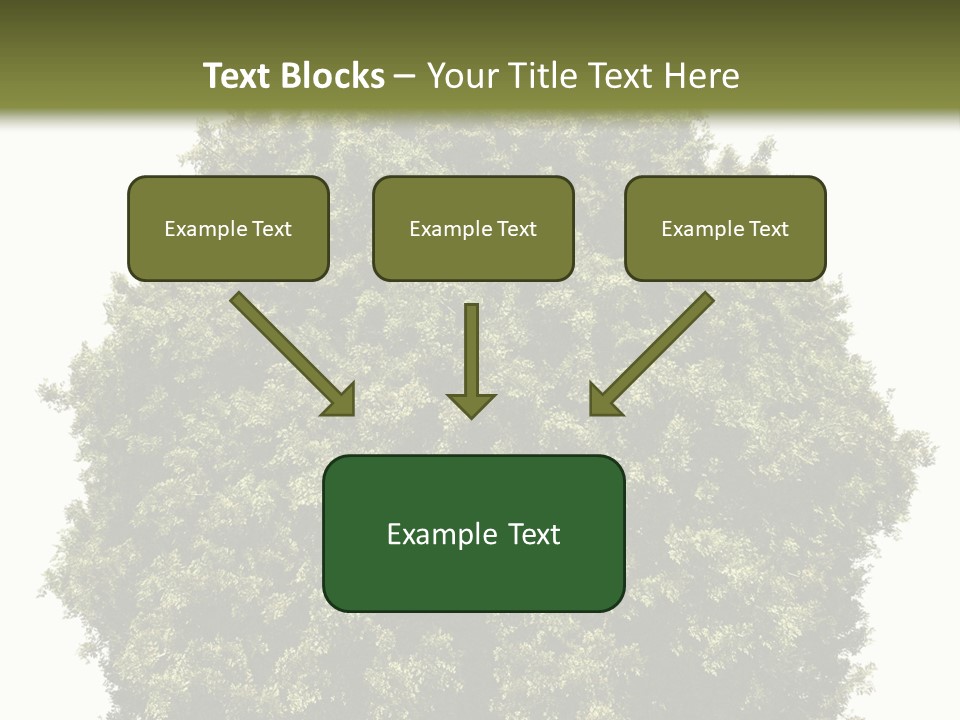Concept Ball Fronded PowerPoint Template